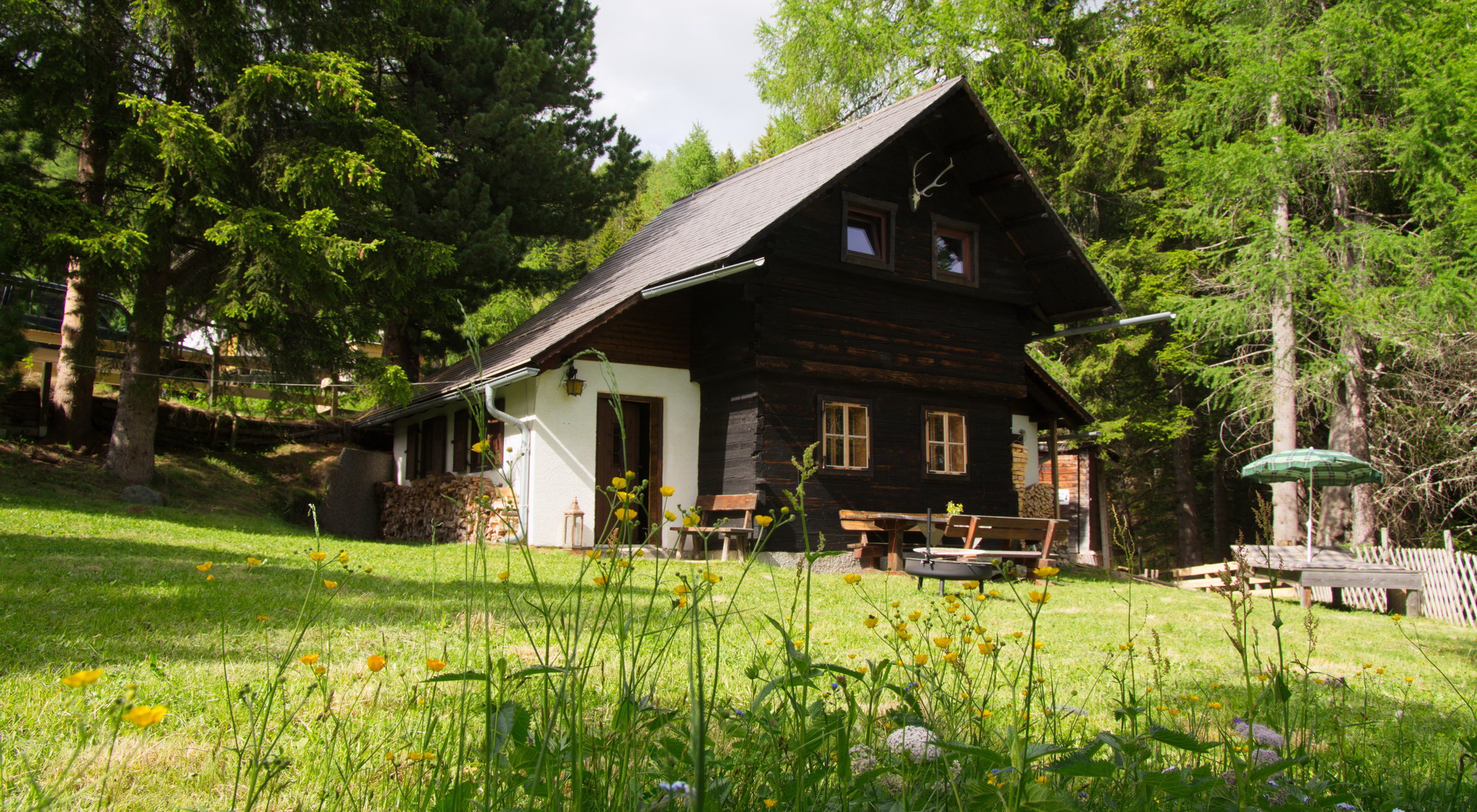 Falkert Hütte mit Sommerwiese